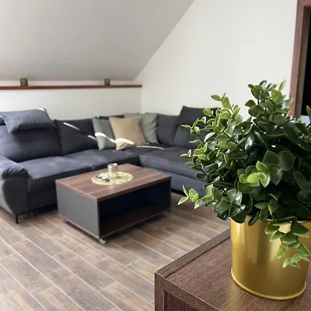 Siesta * Polny Kesov