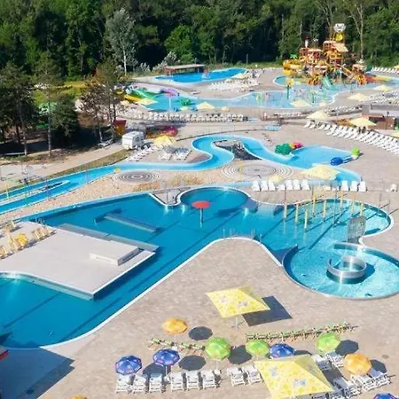 Siesta *