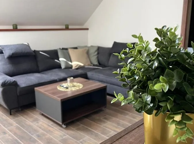 Siesta * Polny Kesov